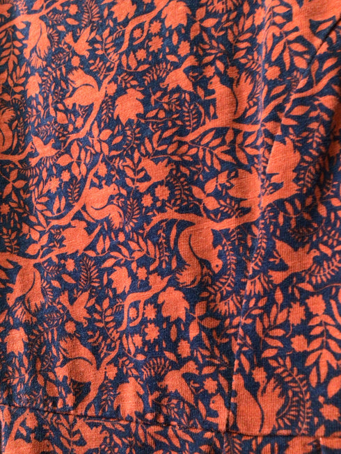 Boden Dress Squirrel Size 6P